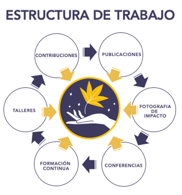 Estructura de trabajo Centro Liquidámbar