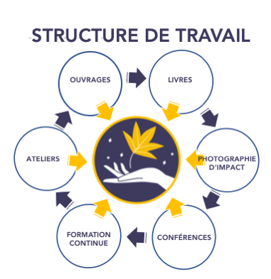 Schéma illustrant la structure de travail du Centro Liquidambar A.C.
